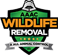 Edgerton Wildlife Removal